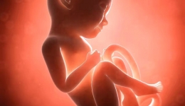 胎儿畸形的常见原因