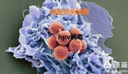 儋州市人民医院病理科已正式开展HPV核酸检测项目